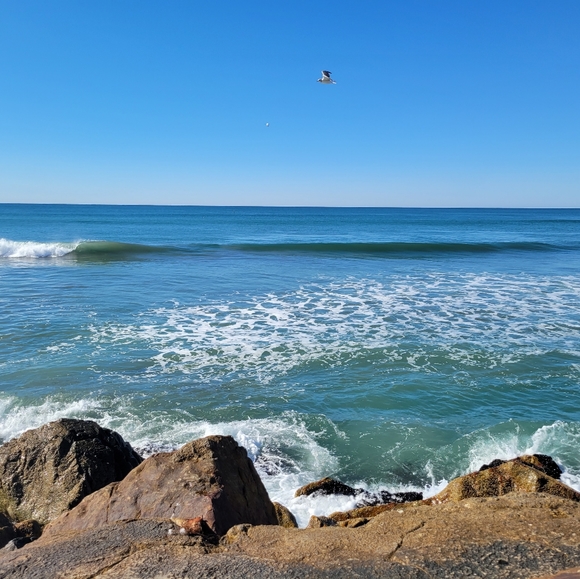 Meet your Posher, Ryon - Picture 12 of 16